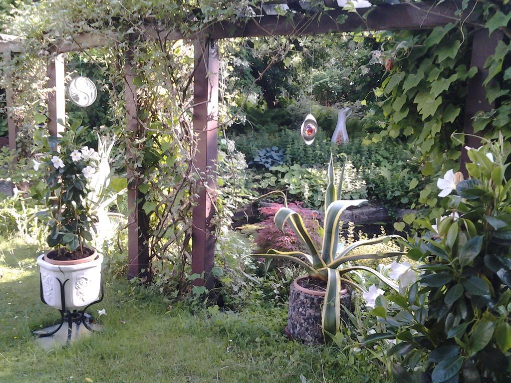 Gartenhaus Steffie Potsdam Kültér fotó