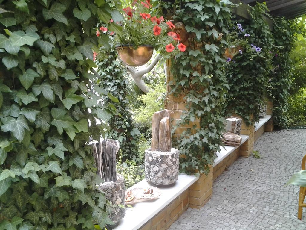 Gartenhaus Steffie Potsdam Kültér fotó