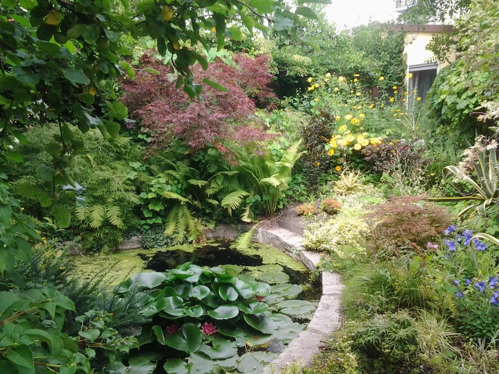 Gartenhaus Steffie Potsdam Kültér fotó